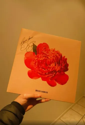 vinil duda beat & nando reis - autografado