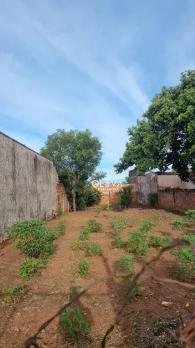 Terreno à venda, 420 m² por R$ 180.000,00 - Jardim Soto - Catanduva/SP