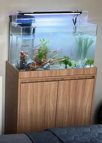 KIT AQUÁRIO 64L