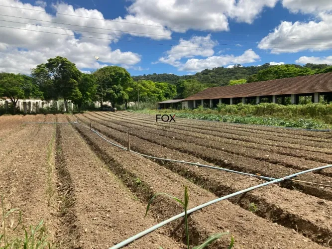 Lote / Terreno à venda em São José Da Lapa