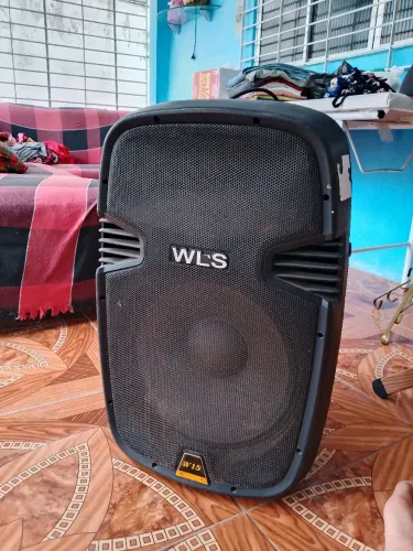 Caixa de som Ativa WLS 300W
