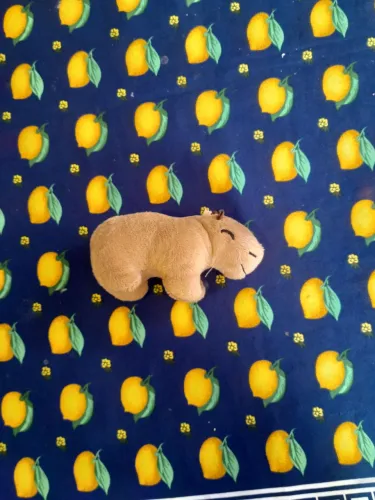 Pelúcia Capivara