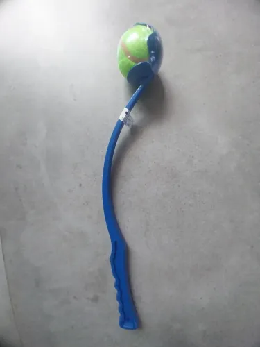 Esporte 
