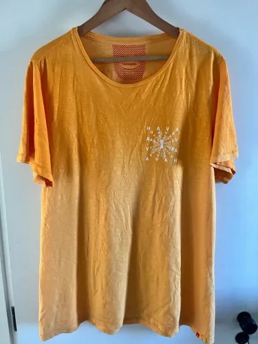 Camiseta Havaianas