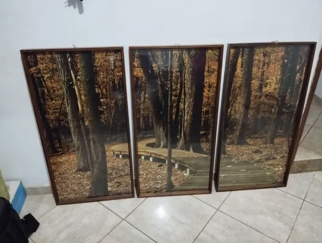 Conjunto de quadros