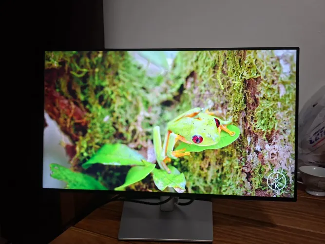 Monitor Dell 2422h
