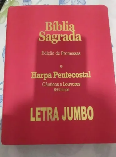 Bíblia jumbo, Páginas simples