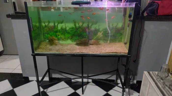 Aquário