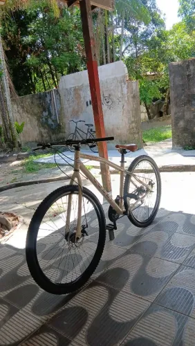 Bicicleta aro 29
