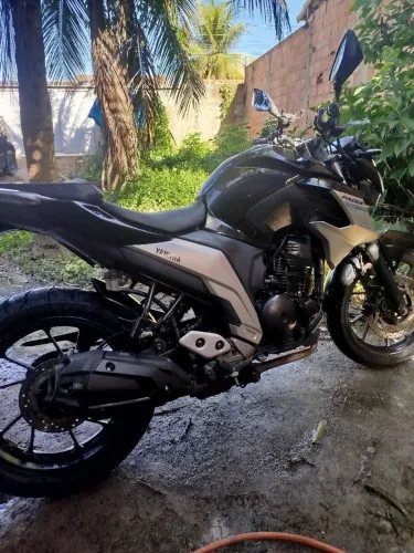 Fz25 2021