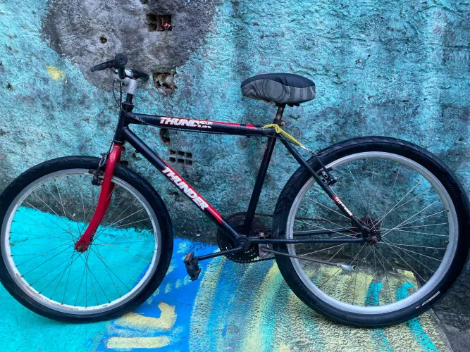 Bicicleta 300$