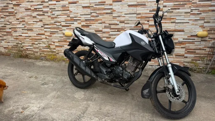Factor 150 ED 2022