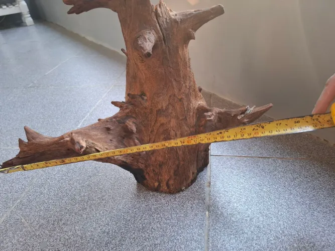 Tronco aquario decoração 