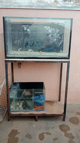 Aquário para buscar hoje