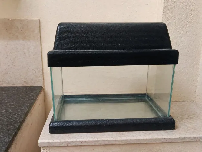 aquários 
