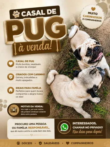 Casal de pung 