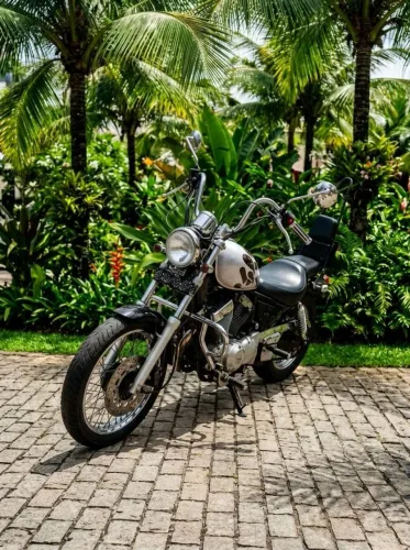 Virago 250 2001