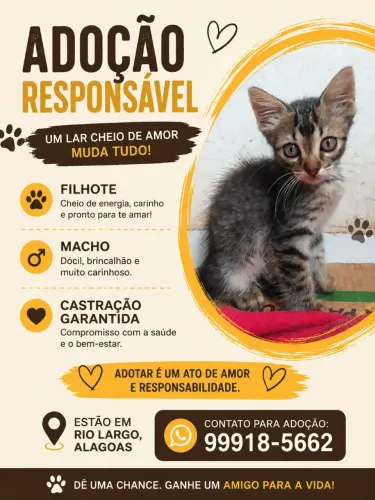 Adoção Responsável 