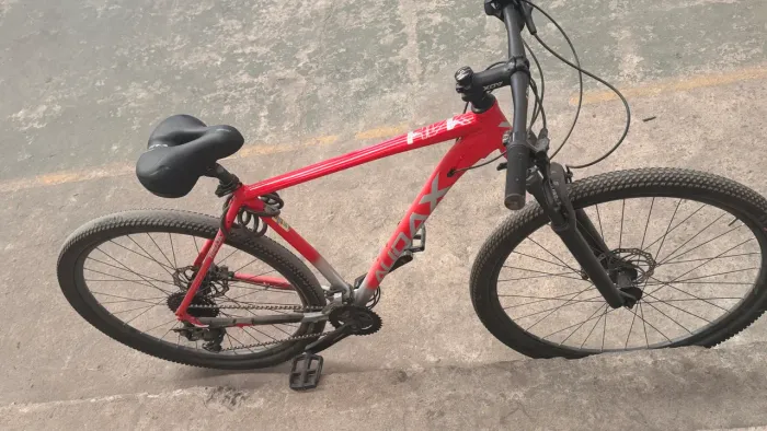 Bicicleta