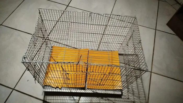 Gaiola grande para animais