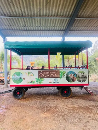 VENDO CARRETÃO TRENZINHO  JARDINEIRA  IDEAL PARA TURISMO RURAL E PASSEIOS.