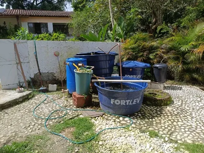 Sistema de criação de peixe em RAS pronto