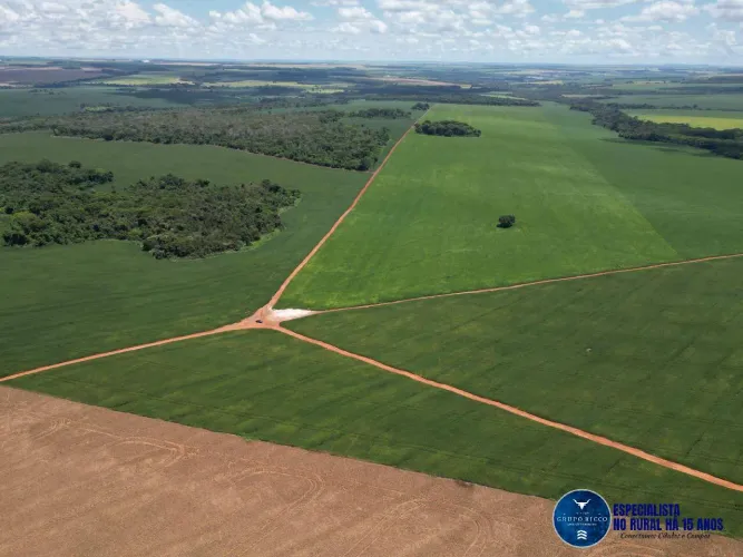 Fazenda à Venda em Rio Verde GO | 174 Alqueires | 152 em Lavoura | Safra