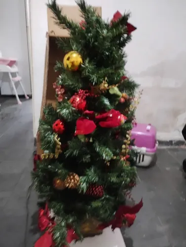 Árvore de Natal 