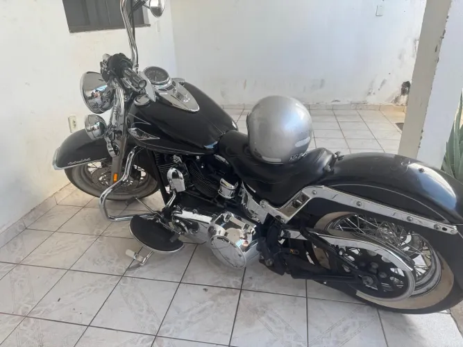 Harley Davidson flstc