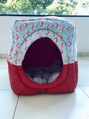 Caminha pet