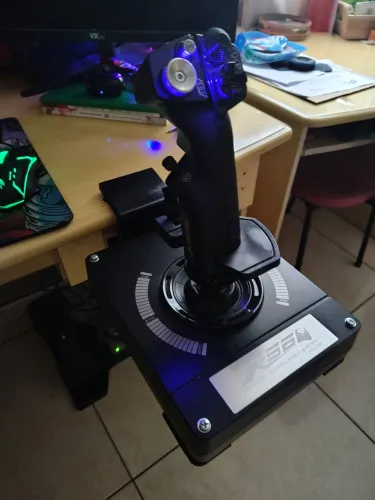 Logitech x56 + Logitech Pedal Ruder.