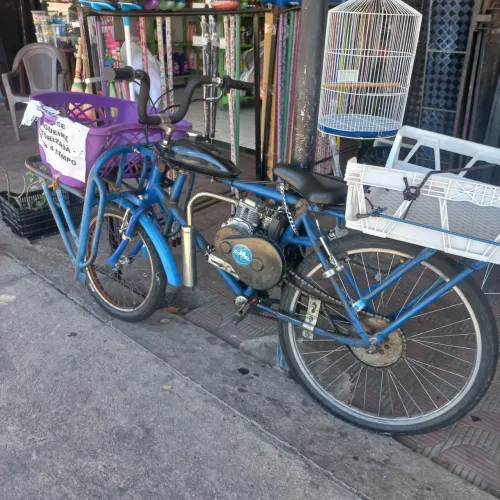 Bicicleta cargueira elétrica 