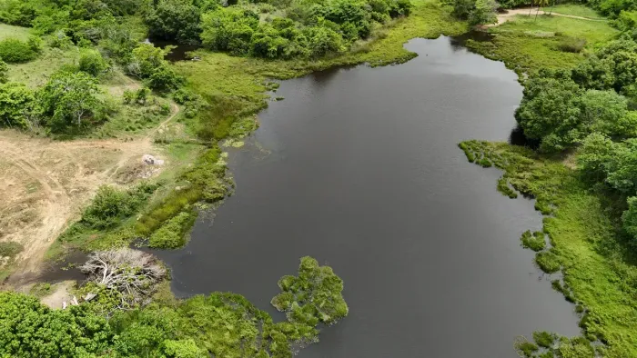 fazenda com 150 hectares na região de Pedro Velho região agreste do RN