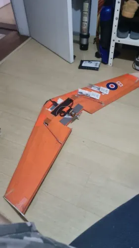 Asa voadora RC 1m
