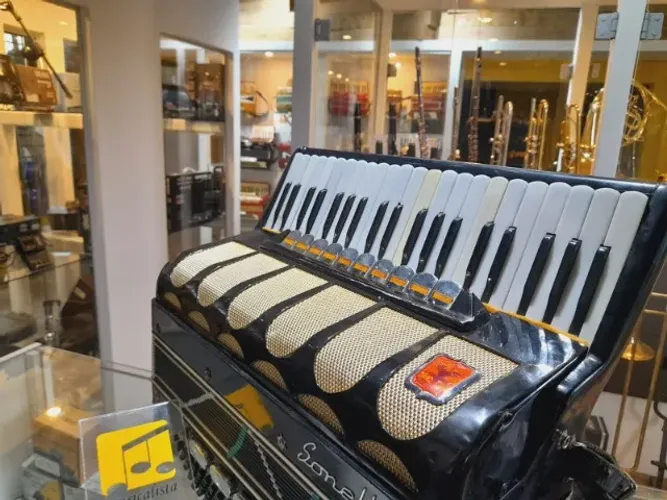 Acordeon 120 baixos Sonelli  - Eletrificada 
