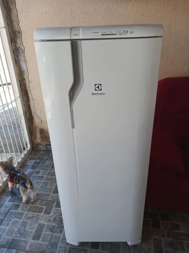 Geladeira em perfeito estado