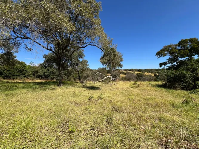 Fazenda a venda com 44 Alqueires Município de Uruaçu- GO