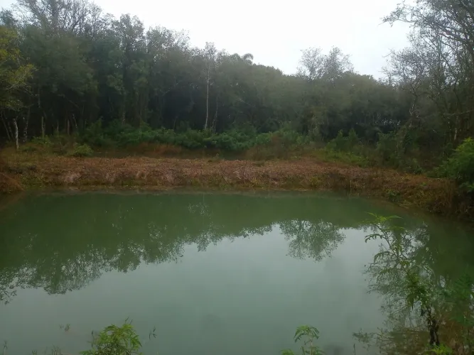 Área para formar chácara