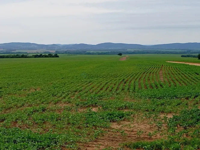 Vendo!!! fazenda de 928 hectares no município da cidade de Paranatinga no Mato G