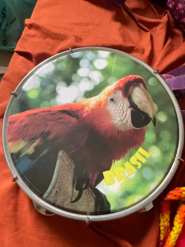 Pandeiro Luen Arara