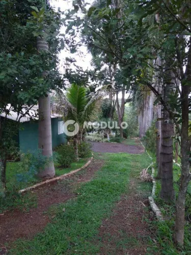 CHÁCARA à venda, 2 quartos, 5 vagas, AREA RURAL DE UBERLANDIA - Uberlândia/MG