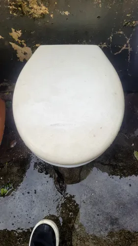 Vaso sanitario 1