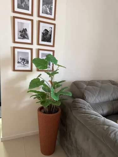 Vaso com planta decoração