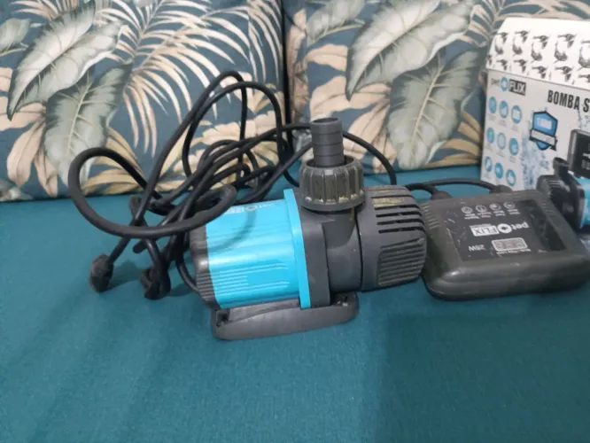 Peixes bomba para aquário 
