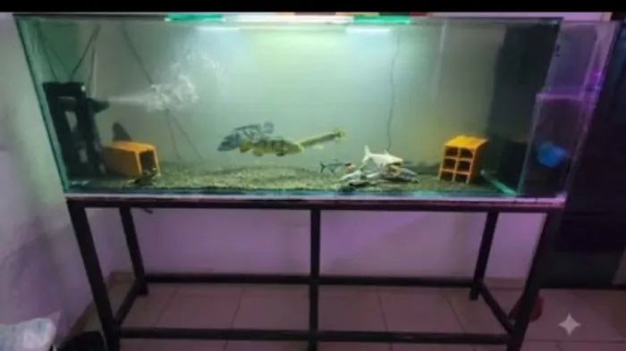 AQUÁRIO 770 LITROS 