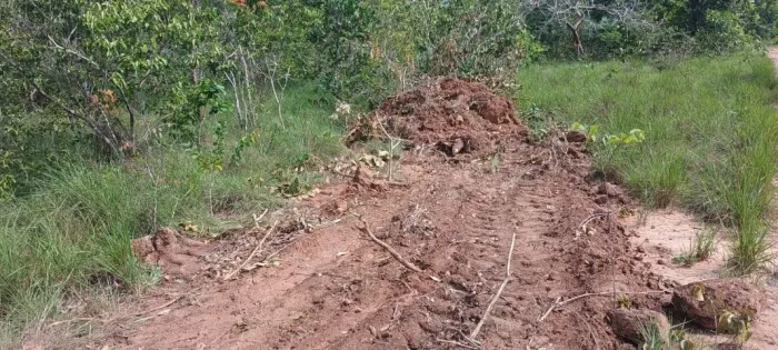 Fazenda Tocantins Dupla Aptidão Bruta, 406 Hectares