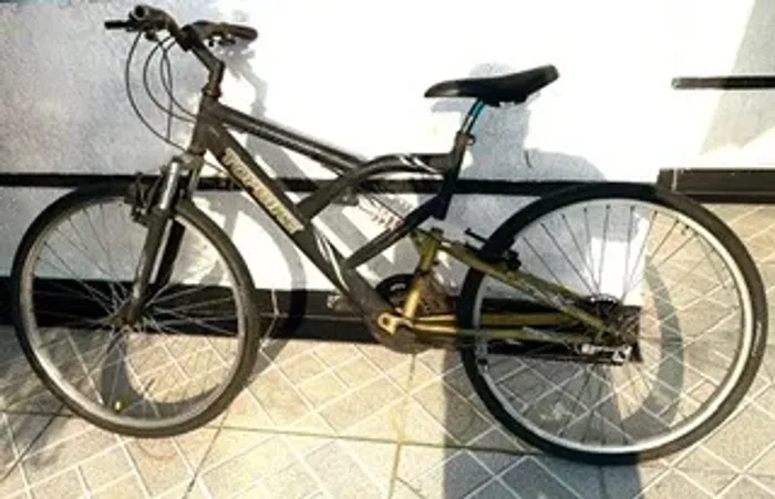 Bicicleta Adulto