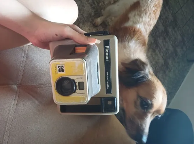 Câmera Kodak Pleaser Instant Camera Vintage Antiga - Colecionador