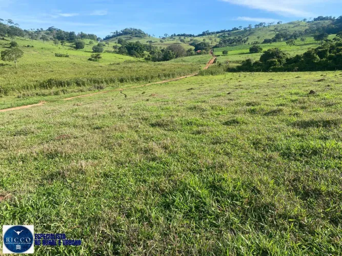 CHÁCARA À VENDA EM TAQUARAL DE GOIÁS GO | 6 ALQUEIRES | TERRA DE CULTURA