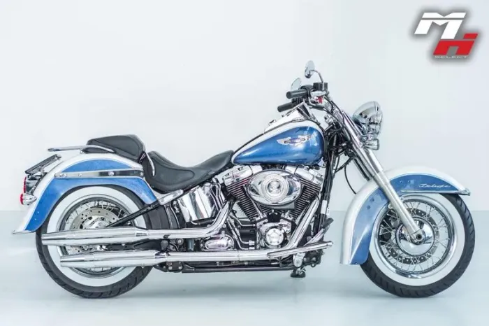 HARLEY-DAVIDSON DELUXE FLSTN 2015